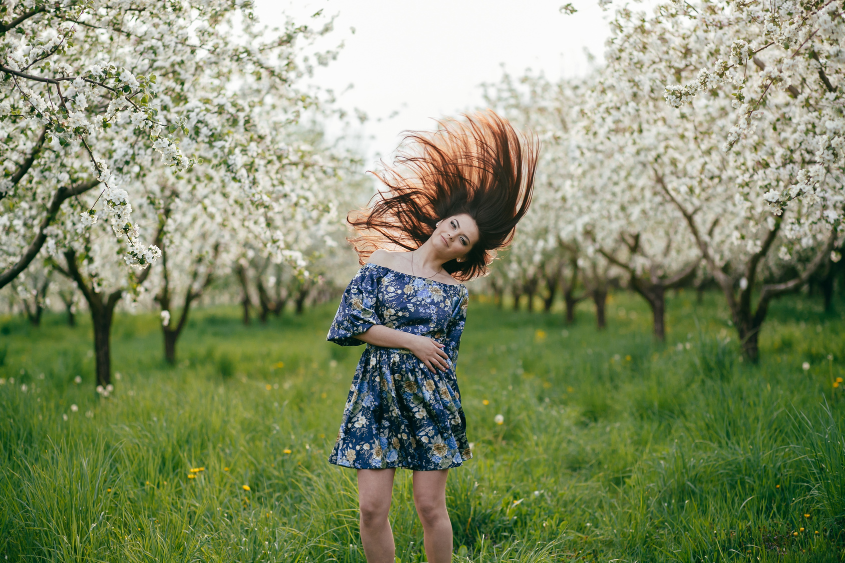 Spring walk girl in a beautiful cherry orchard